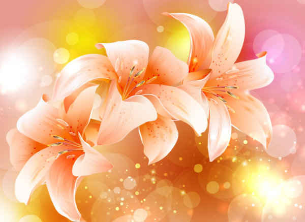 NuMeRoSKoP 1. – 7. 5. 2017: Sprejmi sebe, da bi te Življenje obogatilo! 2 Fancy-Colorful-Flowers-Background