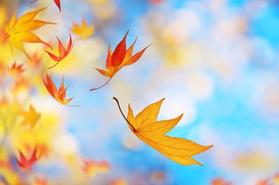 NuMeRoSKoP 2. – 8. 10. 2017: Nagla sprememba energije! 1