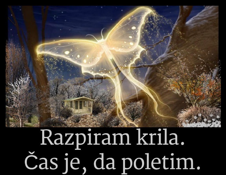 NuMeRoSKoP 18. – 24. 12. 2017: S polno paro naprej! 1