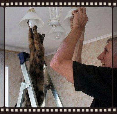 Znamo sprejeti pomoč? 1