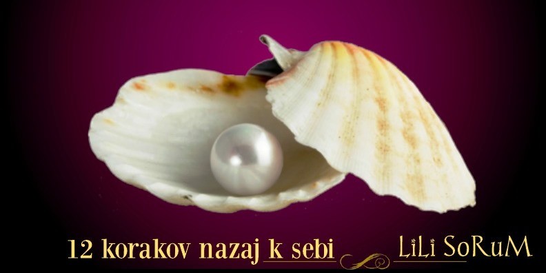 12 korakov nazaj k sebi