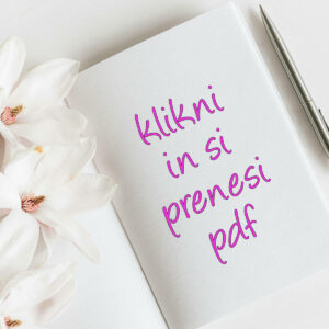 Lili Sorum prenesi pdf Do it yourself: POGLED NAZAJ 1